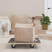 Trolly de transport 6 pcs Gri placaj - WALTI WALTI