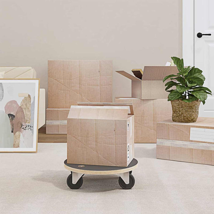 Trolly de transport 6 pcs Gri placaj - WALTI WALTI