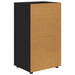 Dulapuri de depozitare Negru 60 x 48 x 105 cm Lemn compozit - WALTI WALTI