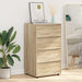 Dulapuri de depozitare Stejar Sonoma 60 x 48 x 105 cm - WALTI WALTI