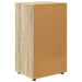 Dulapuri de depozitare Stejar Sonoma 60 x 48 x 105 cm - WALTI WALTI
