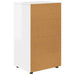 Dulapuri de depozitare Alb lucios 60 x 48 x 105 cm - WALTI WALTI