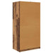Dulap de Baie Lemn Vechi 79,5 x 49 x 156 cm Lemn compozit - WALTI WALTI