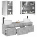 Set dulap baie 5 buc. Gri Beton Lemn prelucrat - WALTI WALTI