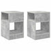Masă laterală 2 pcs Gri din beton 30,5 x 30 x 45 cm - WALTI WALTI