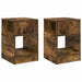 Masă laterală 2 pcs Stejar fumuriu 30,5 x 30 x 45 cm - WALTI WALTI