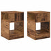 Masă laterală 2 pcs Lemn vechi 30,5 x 30 x 45 cm Lemn compozit - WALTI WALTI
