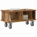 Support TV Lemn vechi 68,5 x 35 x 35 cm Lemn compozit - WALTI WALTI