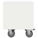 Noptieră 2 pcs Alb 40,5 x 40 x 48 cm Lemn compozit - WALTI WALTI