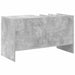 Dulap pentru discuri de vinil Gri din beton 78,5 x 35 x 45 cm - WALTI WALTI
