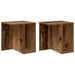 Masă laterală 2 pcs Lemn vechi 37 x 32 x 40 cm Lemn compozit - WALTI WALTI