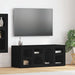 Cabinet TV Negru 100 x 35 x 40 cm Lemn compozit - WALTI WALTI