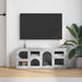 Cabinet TV Gri din beton 100 x 35 x 40 cm Lemn compozit - WALTI WALTI
