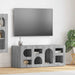 Cabinet TV Gri Sonoma 100 x 35 x 40 cm Lemn compozit - WALTI WALTI