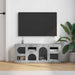 Cabinet TV Gri Sonoma 100 x 35 x 40 cm Lemn compozit - WALTI WALTI