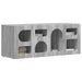 Cabinet TV Gri Sonoma 100 x 35 x 40 cm Lemn compozit - WALTI WALTI