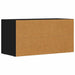Cabinet TV Negru 80 x 35 x 40 cm Lemn compozit - WALTI WALTI