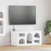 Cabinet TV Alb lucios 80 x 35 x 40 cm Lemn compozit - WALTI WALTI