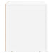 Cabinet TV Alb 60 x 35 x 40 cm Lemn compozit - WALTI WALTI