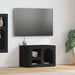 Cabinet TV Negru 60 x 35 x 40 cm Lemn compozit - WALTI WALTI
