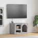 Cabinet TV Gri Sonoma 60 x 35 x 40 cm Lemn compozit - WALTI WALTI