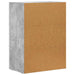 Bufet Gri din beton 59 x 35 x 80.5 cm Lemn compozit - WALTI WALTI