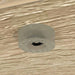 Bufet Stejar Sonoma 80.5 x 35 x 59 cm Lemn compozit - WALTI WALTI