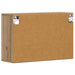 Dulap suspendat Stejar Artizanal 60 x 20 x 40 cm Lemn compozit - WALTI WALTI