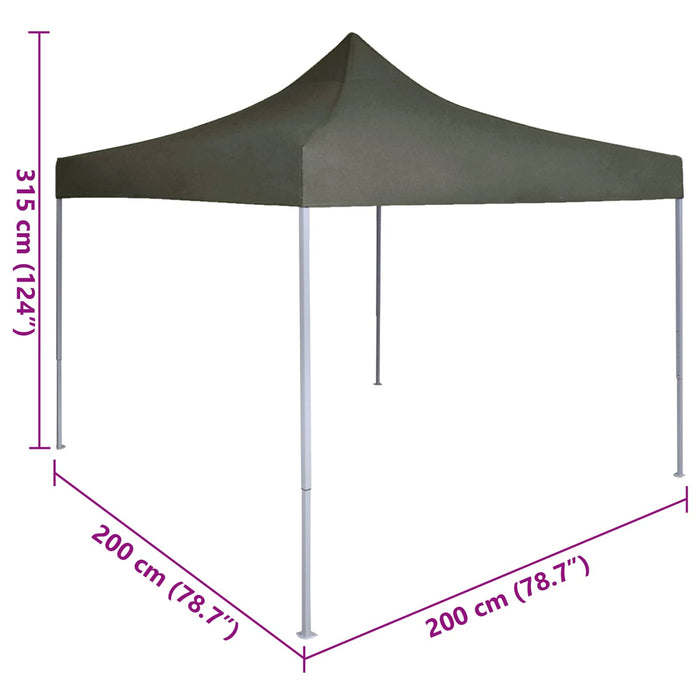 Cort pentru Petreceri Antracit 200 x 200 x 315 cm - WALTI WALTI