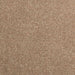 Covoare de zonă AGIRA natural 340 x 240 cm Poliester - WALTI WALTI