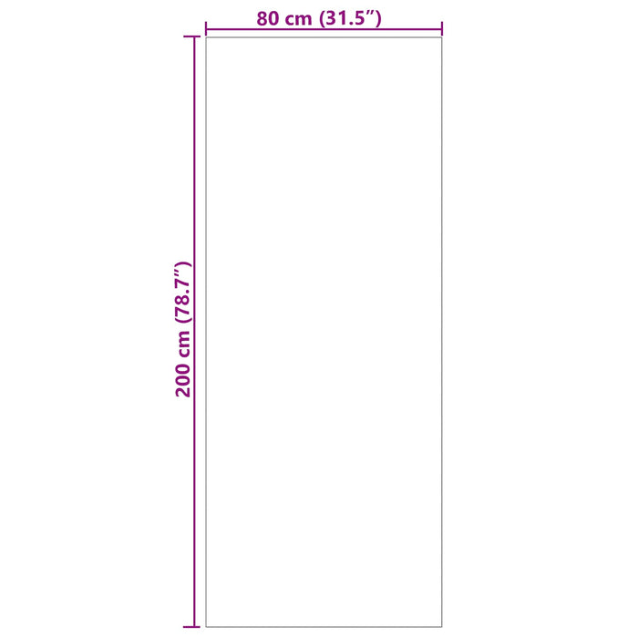 Covoare de zonă Dreptunghiular Antracit 200 x 80 cm - WALTI WALTI