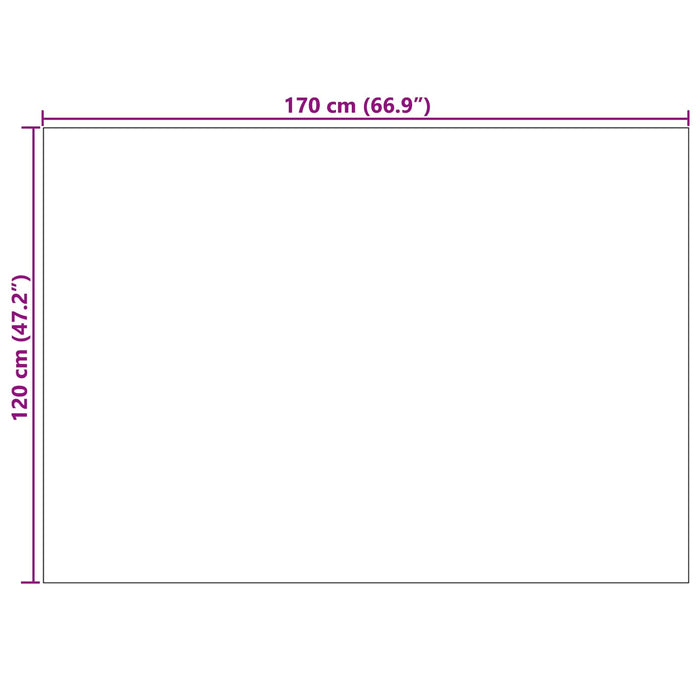 Covoare de zonă Dreptunghiular HUARTE Bej 170 x 120 cm - WALTI WALTI