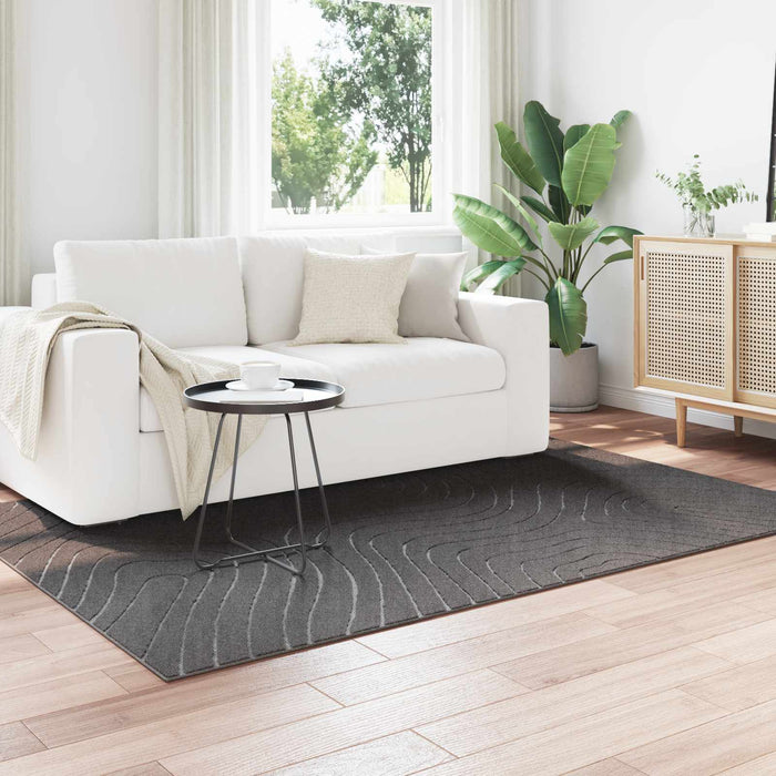 Covoare de zonă Dreptunghiular Antracit 170 x 120 cm - WALTI WALTI