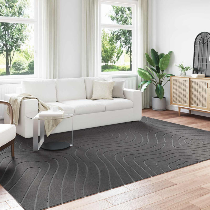 Covoare de zonă Dreptunghiular Antracit 340 x 240 cm - WALTI WALTI