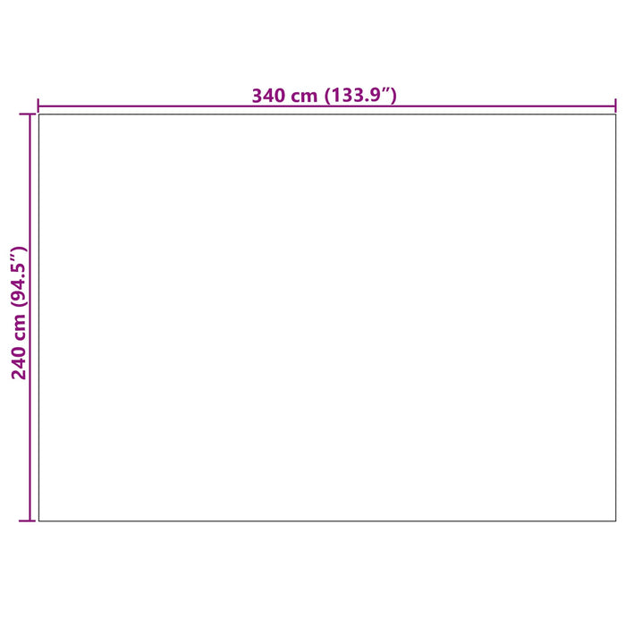 Covoare de zonă Dreptunghiular Antracit 340 x 240 cm - WALTI WALTI