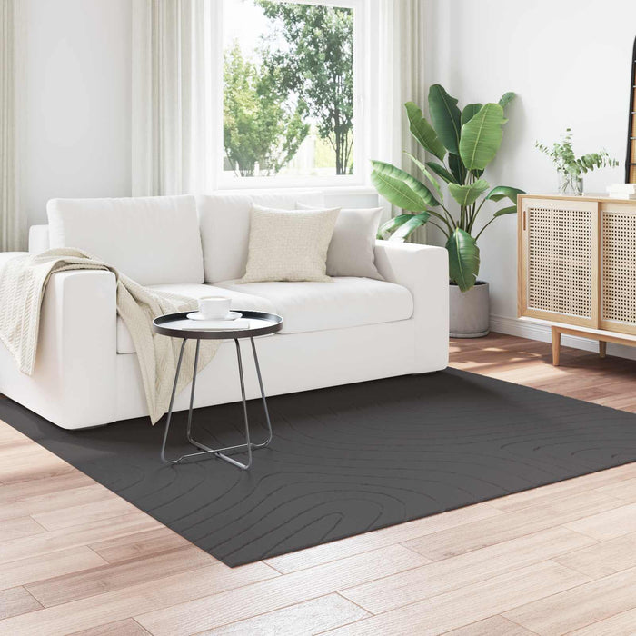Covoare de zonă Pătrat Antracit 200 x 200 cm - WALTI WALTI