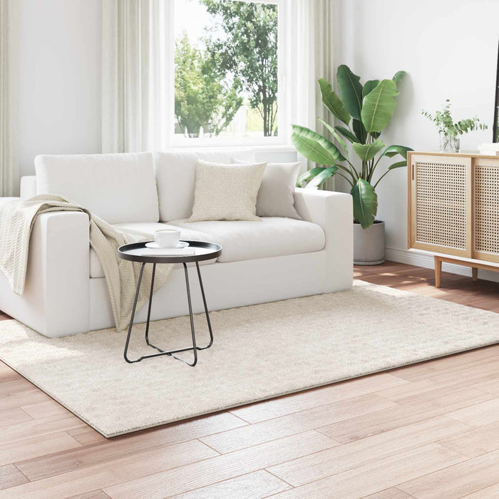 Covoare de zonă Dreptunghiular Crem 170 x 120 cm - WALTI WALTI