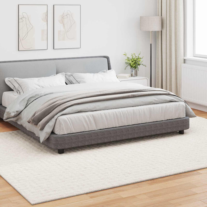 Covoare de zonă Dreptunghiular Crem 280 x 200 cm - WALTI WALTI