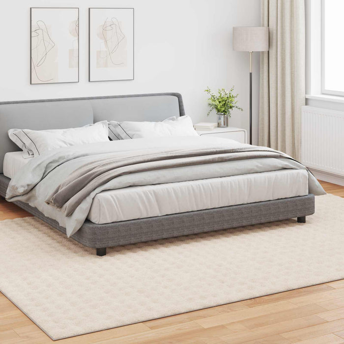 Covoare de zonă Dreptunghiular Bej 280 x 200 cm - WALTI WALTI
