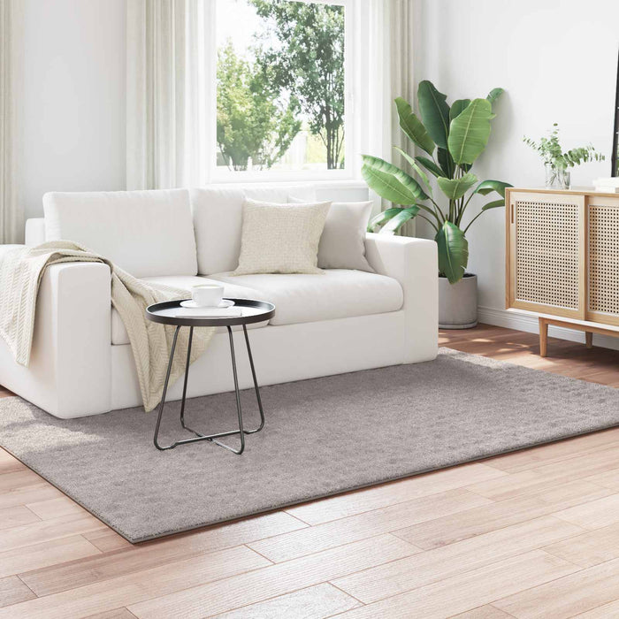 Covoare de zonă Dreptunghiular Nisipiu 230 x 160 cm - WALTI WALTI