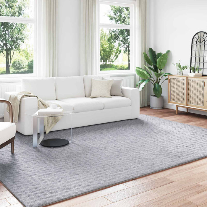 Covoare de zonă Dreptunghiular Gri 340 x 240 cm - WALTI WALTI