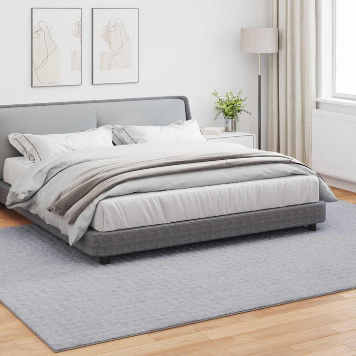 Covoare de zonă Dreptunghiular Gri 340 x 240 cm - WALTI WALTI