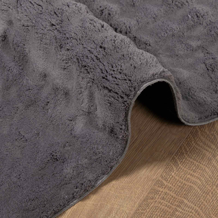 Covoare de zonă Dreptunghiular Antracit 200 x 80 cm - WALTI WALTI