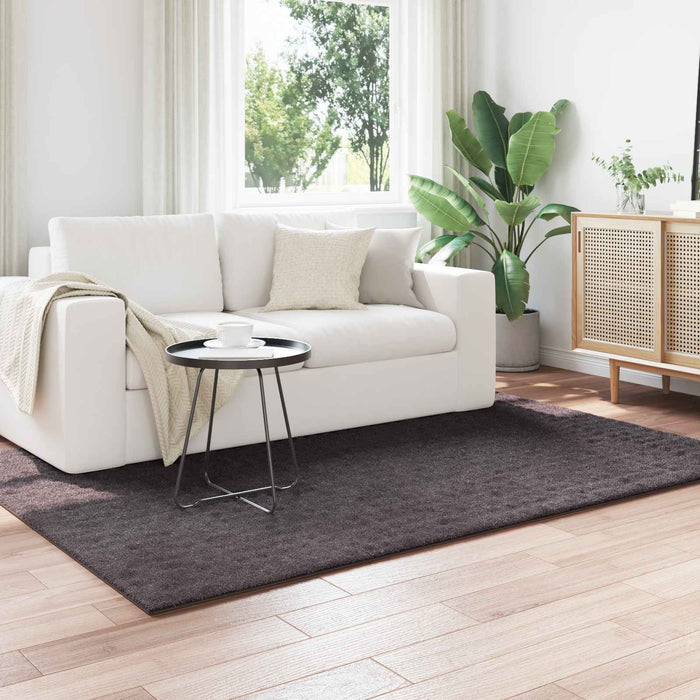Covoare de zonă Dreptunghiular Antracit 170 x 120 cm - WALTI WALTI