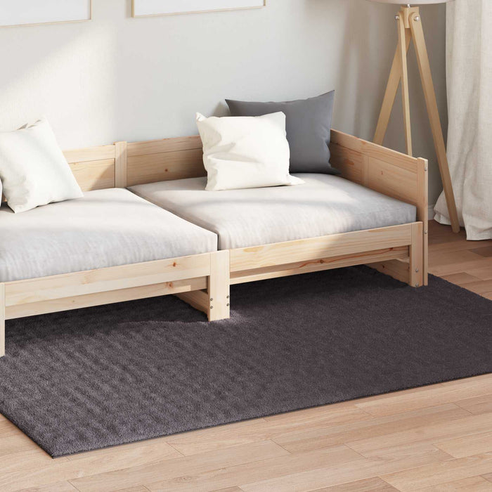Covoare de zonă Dreptunghiular Antracit 170 x 120 cm - WALTI WALTI