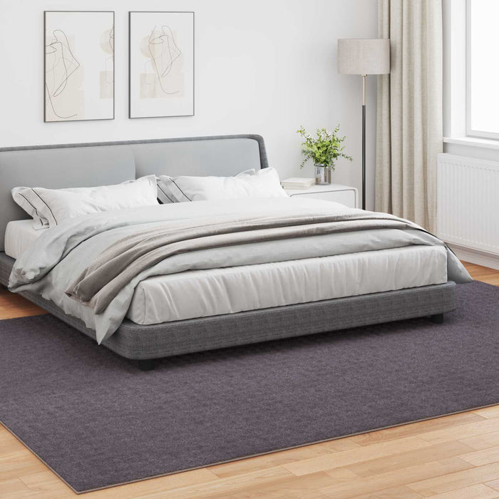 Covoare de zonă Dreptunghiular Antracit 280 x 200 cm - WALTI WALTI