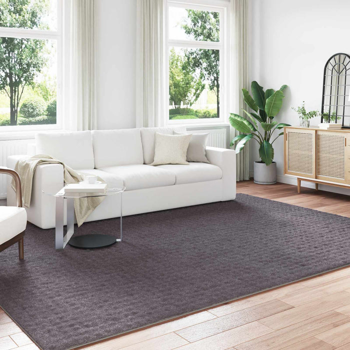 Covoare de zonă Dreptunghiular Antracit 340 x 240 cm - WALTI WALTI