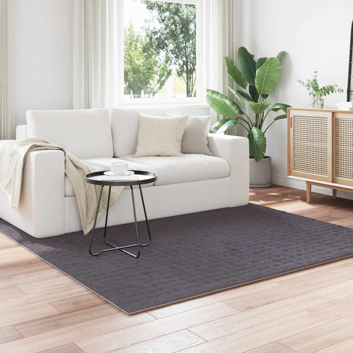 Covoare de zonă Pătrat Antracit 200 x 200 cm - WALTI WALTI