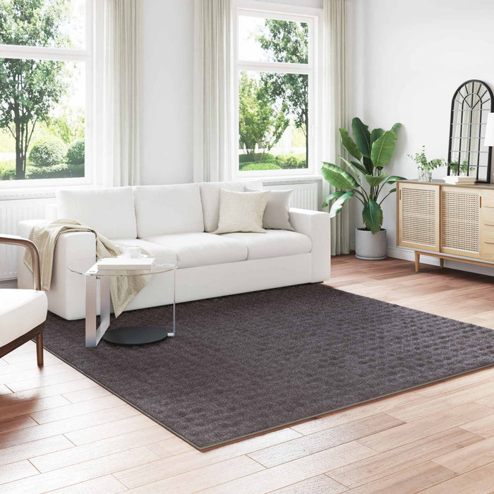 Covoare de zonă Pătrat Antracit 240 x 240 cm - WALTI WALTI