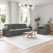 Set de canapea 2 pcs Gri închis 228 x 78 x 80 cm Catifea - WALTI WALTI
